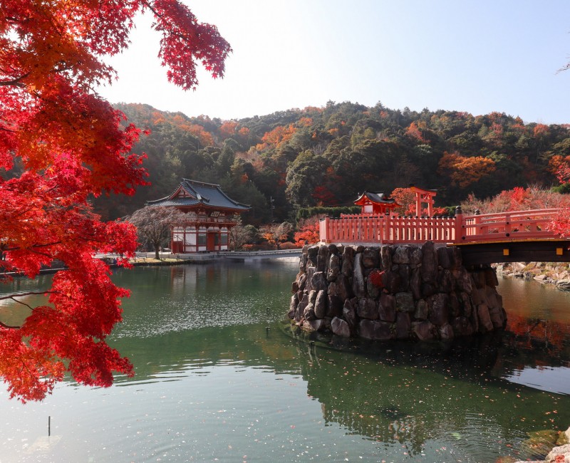 Erables rouges en novembre au temple Katsuo-ji à Minoh (Osaka) 7 Erables rouges en novembre au temple Katsuo-ji à Minoh (Osaka) 7