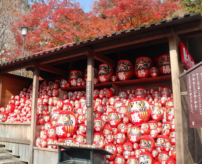 Daruma avec vœu exaucé au temple Katsuo-ji à Minoh (Osaka) Daruma avec vœu exaucé au temple Katsuo-ji à Minoh (Osaka)