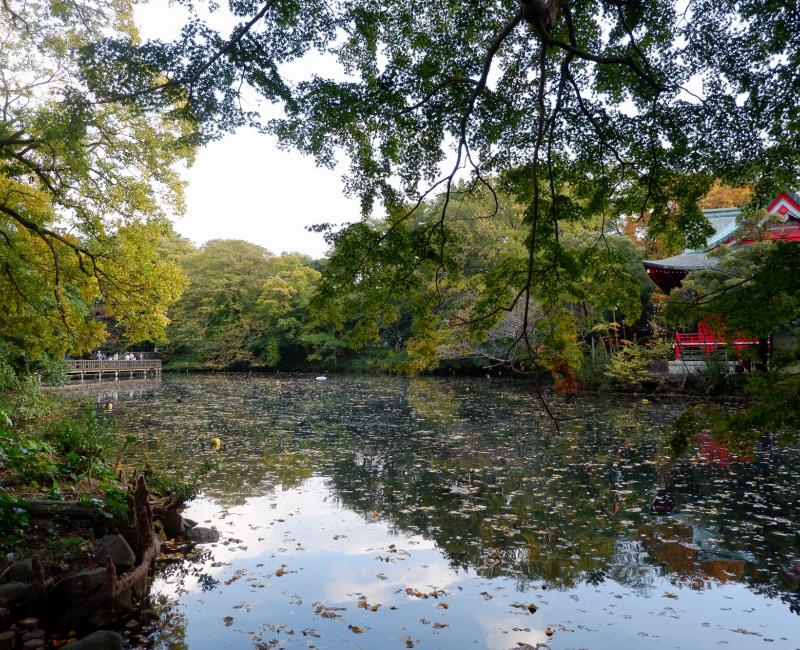 parc Inokashira Kichijoji 2