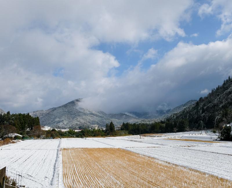 Miyama (Kayabuki no sato), rizières à l'arrivée sur le village au nord de Kyoto