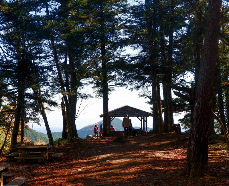 Randonnée de Mitake-san 3 Randonnée de Mitake-san 3