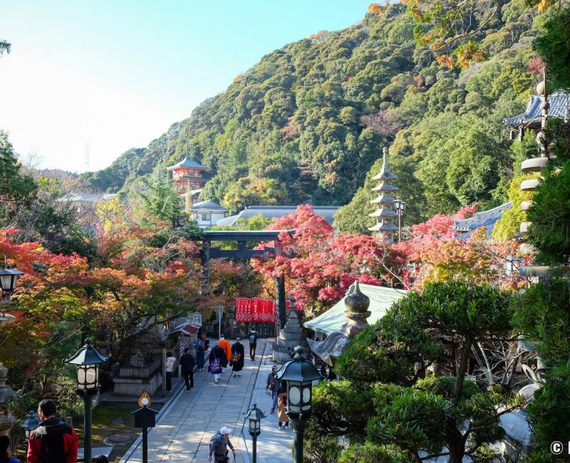 Vue depuis Bishamon-do sur le mont Shigi (Nara)