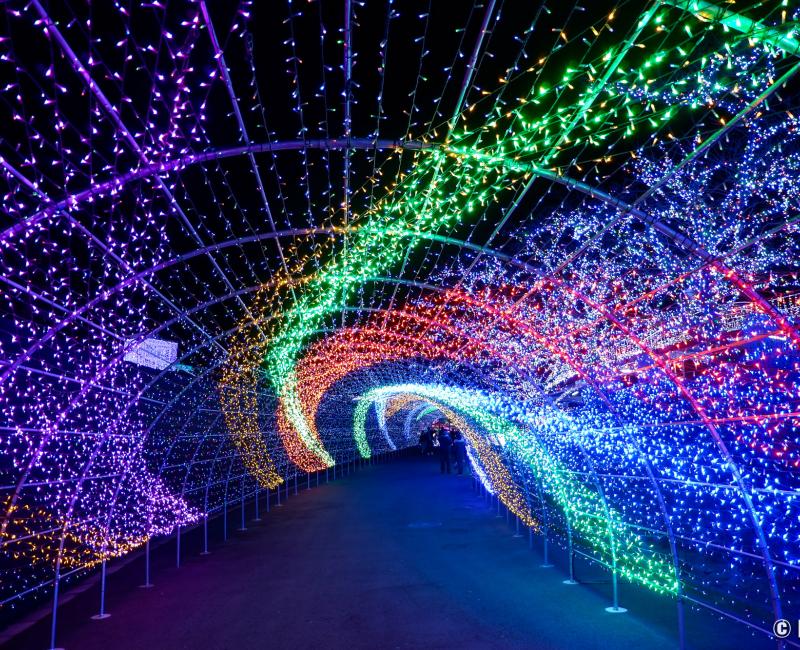 Tunnel lumineux en hiver au parc Yomiuriland