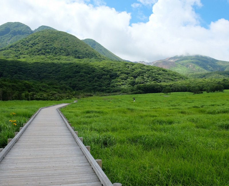 Chemin sur pilotis du marais de Tadewara (Oita) Chemin sur pilotis du marais de Tadewara (Oita)