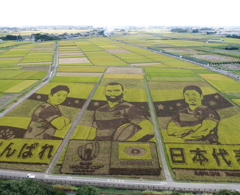 Kodai Hasu No Sato (Saitama), rizières aux couleurs de la coupe de rugby en 2019 au Japon Kodai Hasu No Sato (Saitama), rizières aux couleurs de la coupe de rugby en 2019 au Japon