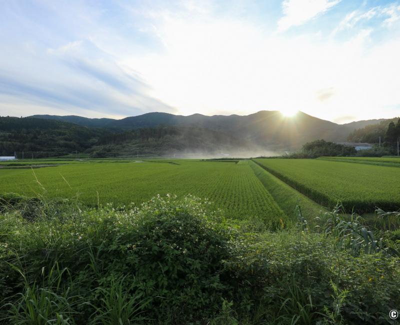 Vue sur la campagne et les rizières depuis le village Nordisk des îles Goto Vue sur la campagne et les rizières depuis le village Nordisk des îles Goto
