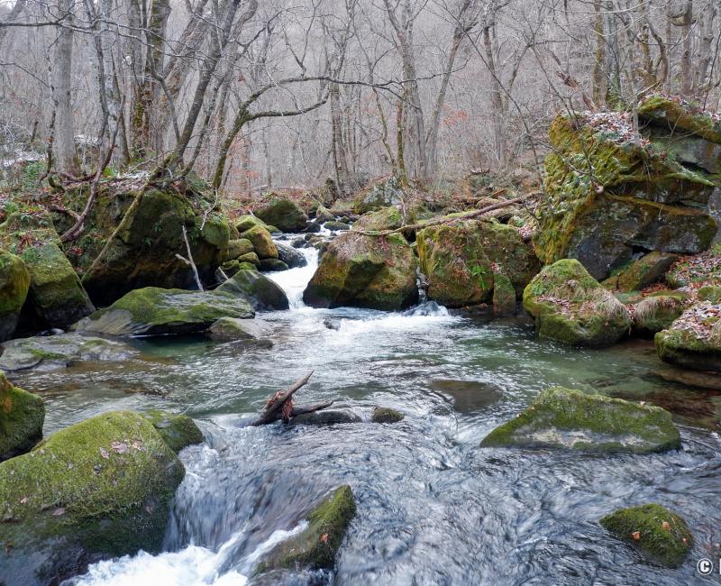  Rivière et gorges Oirase (Towada)