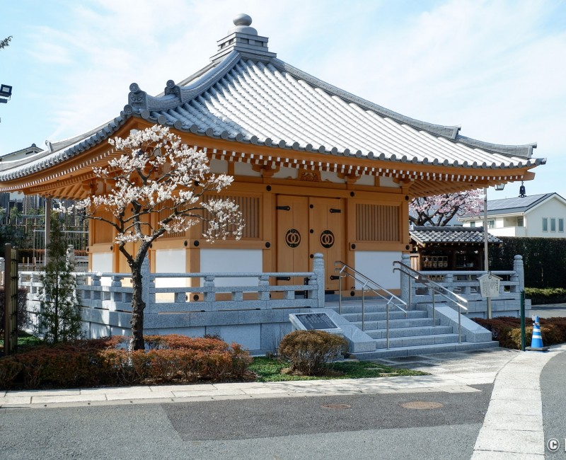 Temple Saishoji avec pruniers en fleurs à Ochiai (Tokyo) Temple Saishoji avec pruniers en fleurs à Ochiai (Tokyo)