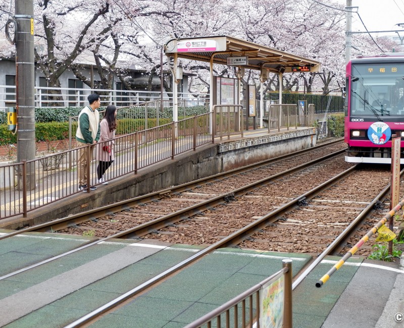Station Arakawa Nichome sur la ligne du Tokyo Sakura Tram (Toden Arakawa) 