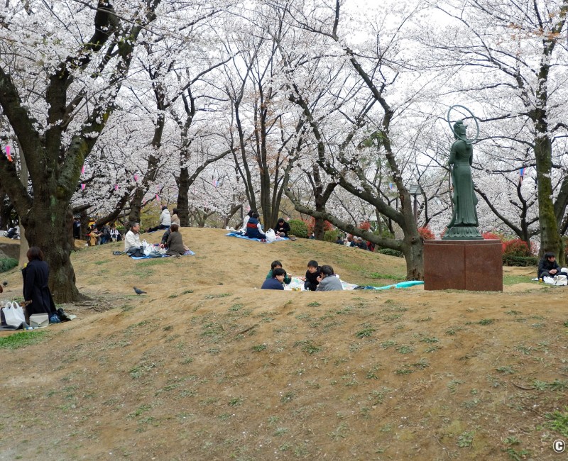 Parc Asukayama, Visiteurs installés pour un pique-nique sous les cerisiers en fleurs Parc Asukayama, Visiteurs installés pour un pique-nique sous les cerisiers en fleurs