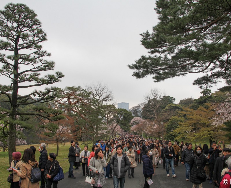 Inui-dori, Vue sur l'allée 2