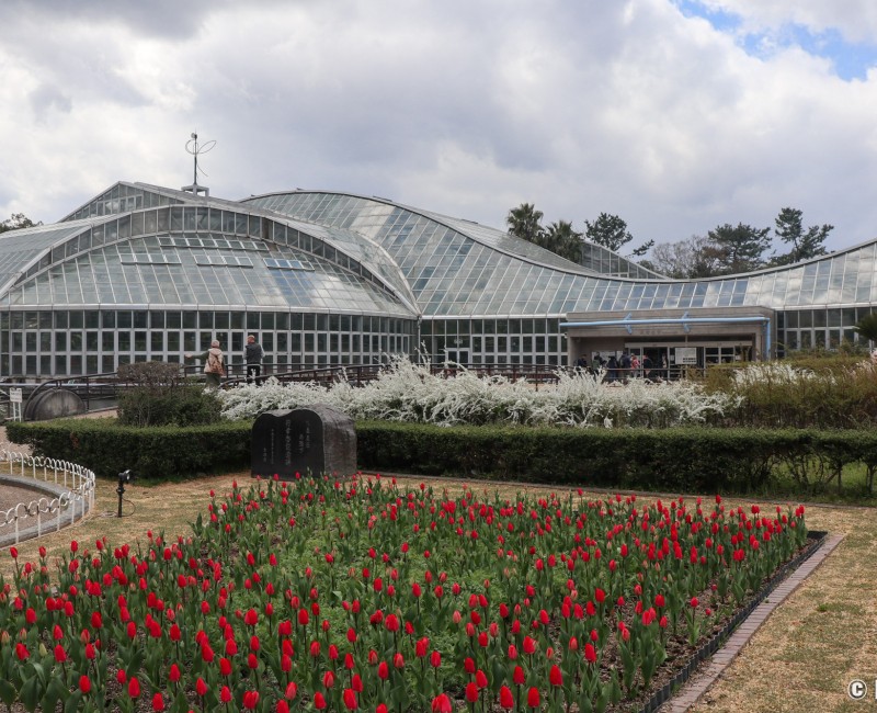 Vue d'ensemble de la serre du Jardin botanique de Kyoto