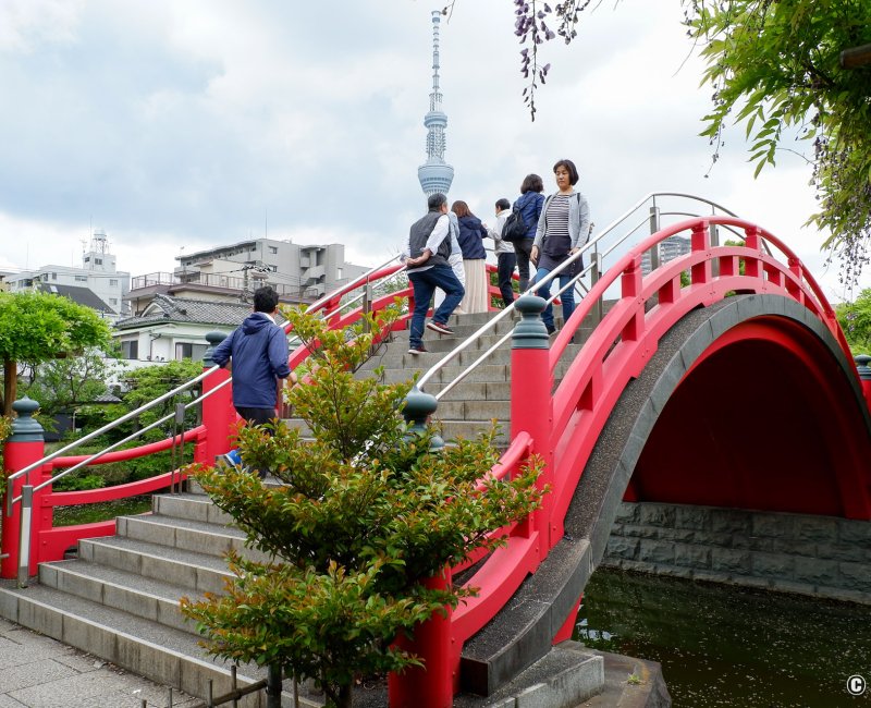 Pont Otoko-bashi au sanctuaire Kameido Tenjin à Tokyo