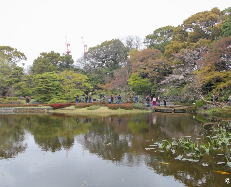 Jardin japonais Ninomaru à Kokyo Higashi Gyoen, Tokyo