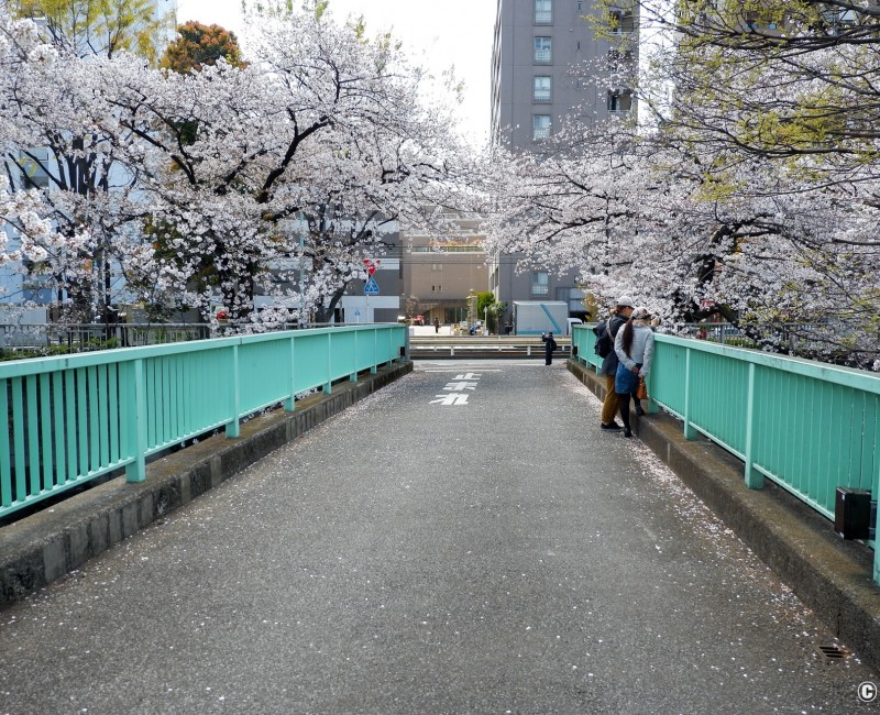 Le pont contemporain Omokage-bashi Le pont contemporain Omokage-bashi