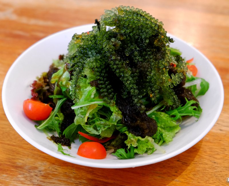 Assiette d'algues Umi Budo