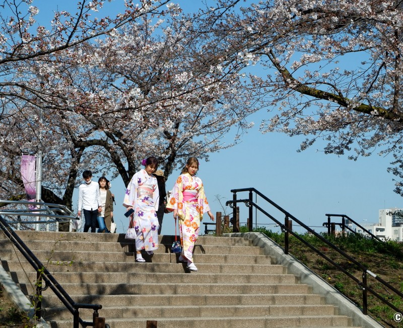 Location de yukata et balade au bord de la rivière Sumida à Tokyo Location de yukata et balade au bord de la rivière Sumida à Tokyo