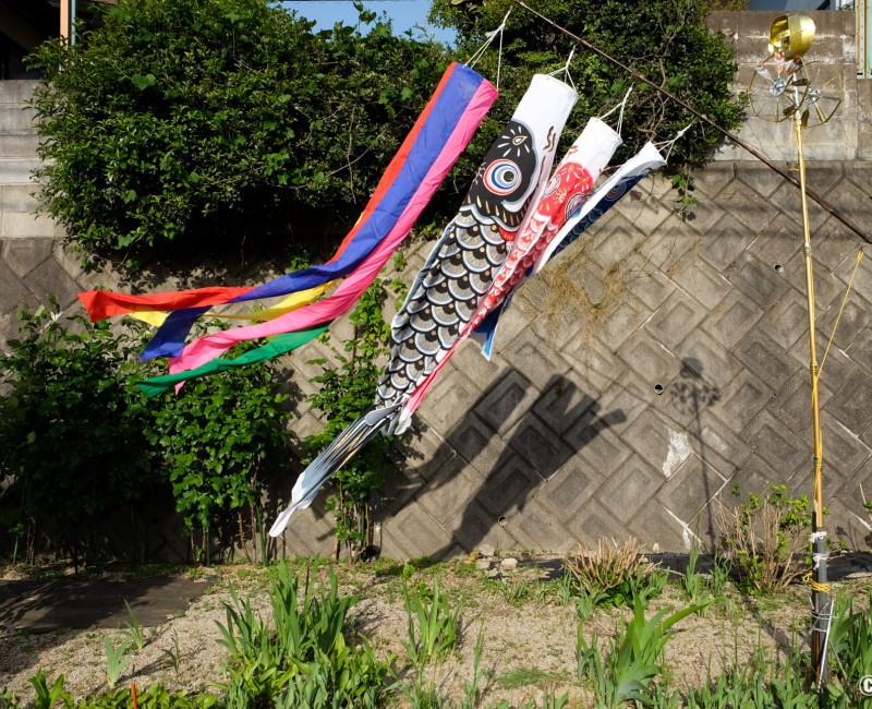 Perche koi nobori traditionnelle plantée dans un jardin privé au Japon