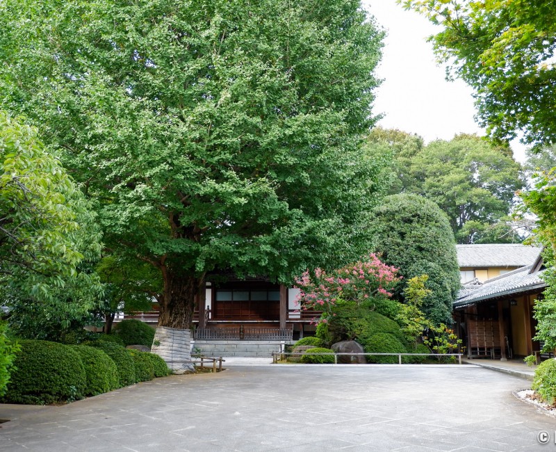 Quartier de Koenji à Tokyo, Temple Shukuhozan-Koenji