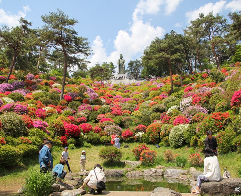 Statue de Kannon et petit bassin au temple Shiofune Kannon-ji à Ome Statue de Kannon et petit bassin au temple Shiofune Kannon-ji à Ome