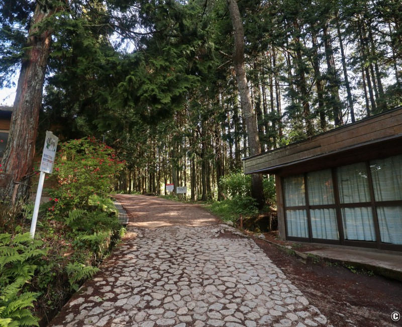Sentier de randonnée du mont Yamato Katsuragi-san (Nara) 2