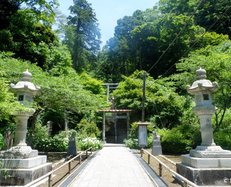 Escaliers pour rejoindre le chemin de randonnée Tenen à Kamakura Escaliers pour rejoindre le chemin de randonnée Tenen à Kamakura