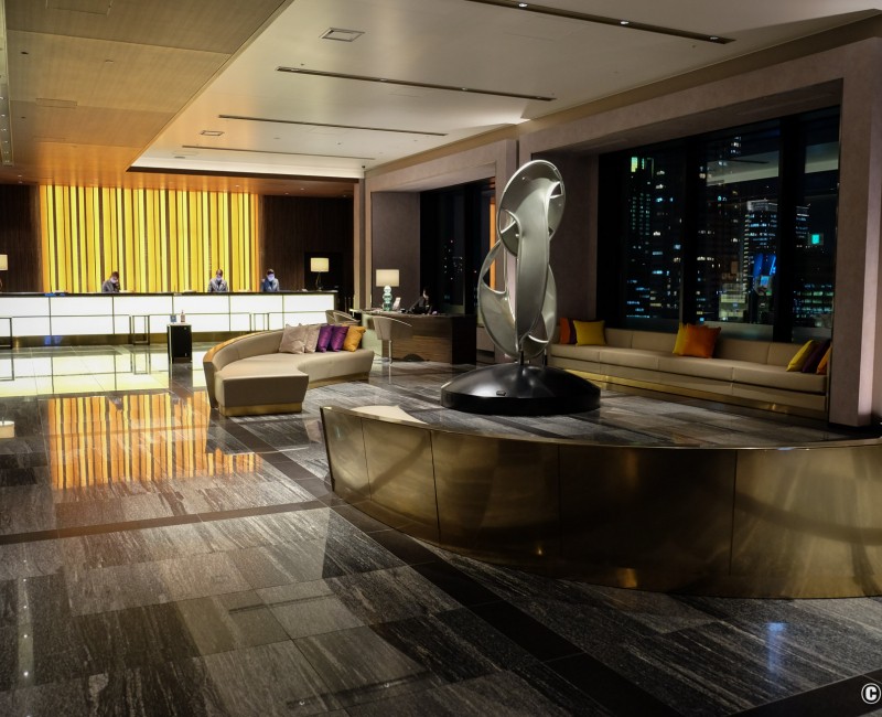 The Royal Park Hotel Iconic Osaka Midosuji, hall d'accueil