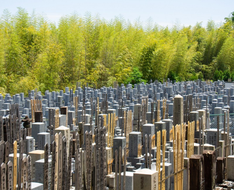 Shoden-ji (Kyoto), cimetière japonais et bambouseraie