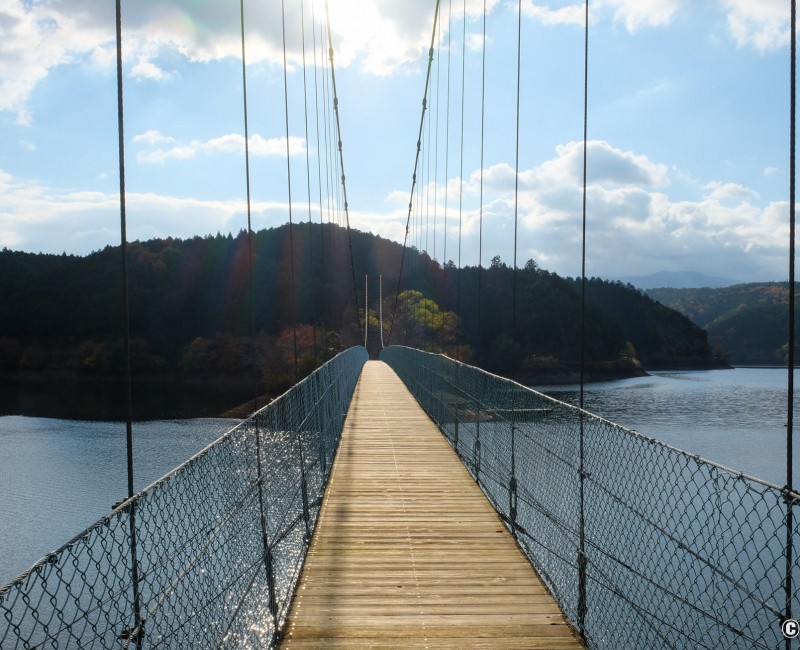 Thérapie en forêt de Yoshino, pont suspendu du lac Tsuburo