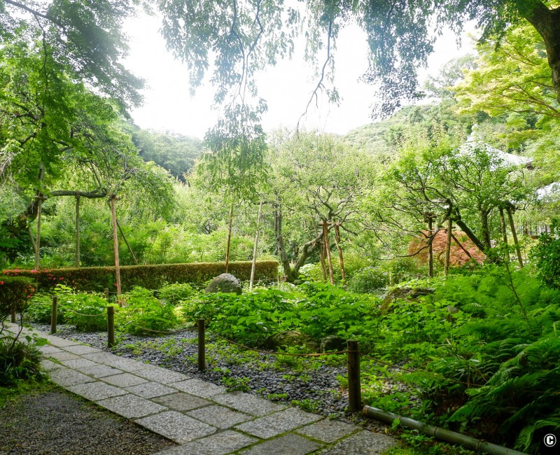 Zuisen-ji à Kamakura, Parcelles cultivées Zuisen-ji à Kamakura, Parcelles cultivées