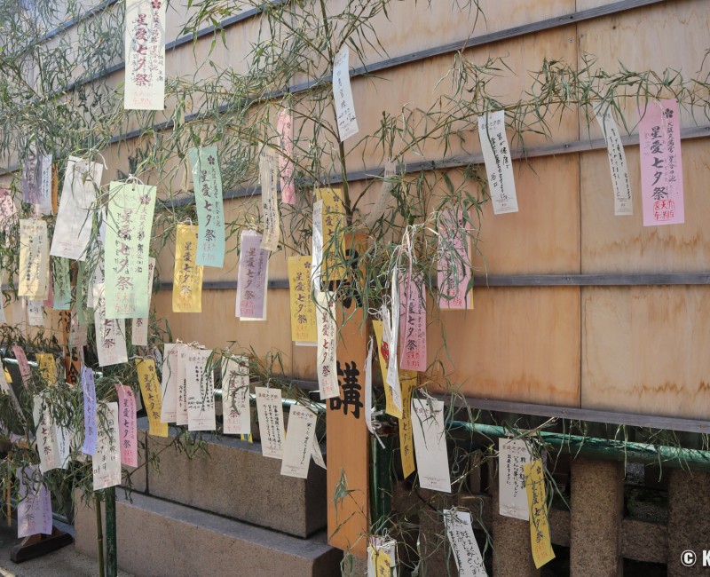 Sanctuaire Tenmangu à Osaka, Tiges de bambou ornées de tanzaku pour Tanabata