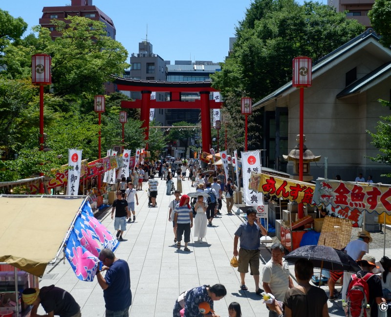 Tomioka Hachiman-gu, Allée principale pendant le Fukagawa Hachiman Matsuri à la mi-août