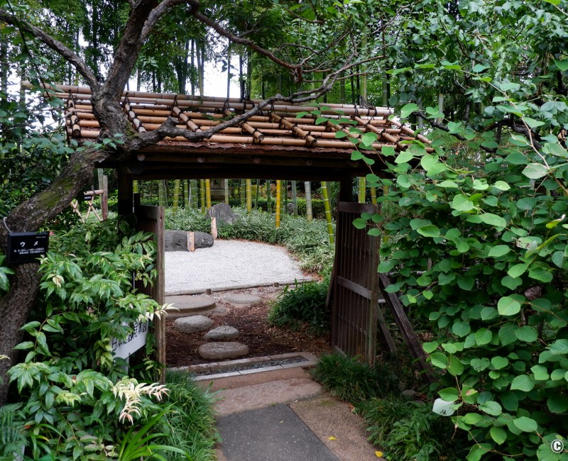 Jardin botanique Akatsuka, entrée du jardin japonais (Narimasu, Tokyo)