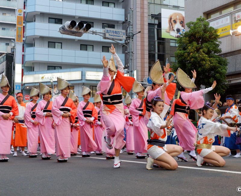 Koenji Awa-Odori, danseuses en tenue traditionnelle de matsuri en action (2) Koenji Awa-Odori, danseuses en tenue traditionnelle de matsuri en action (2)