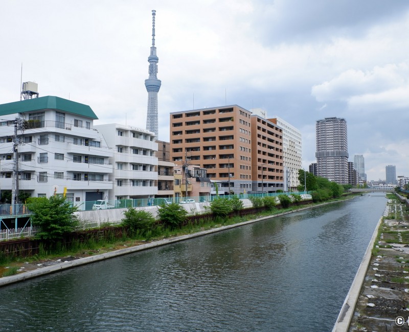 Koto à Tokyo, canal du quartier Kameido et vue sur la Tokyo Skytree Koto à Tokyo, canal du quartier Kameido et vue sur la Tokyo Skytree