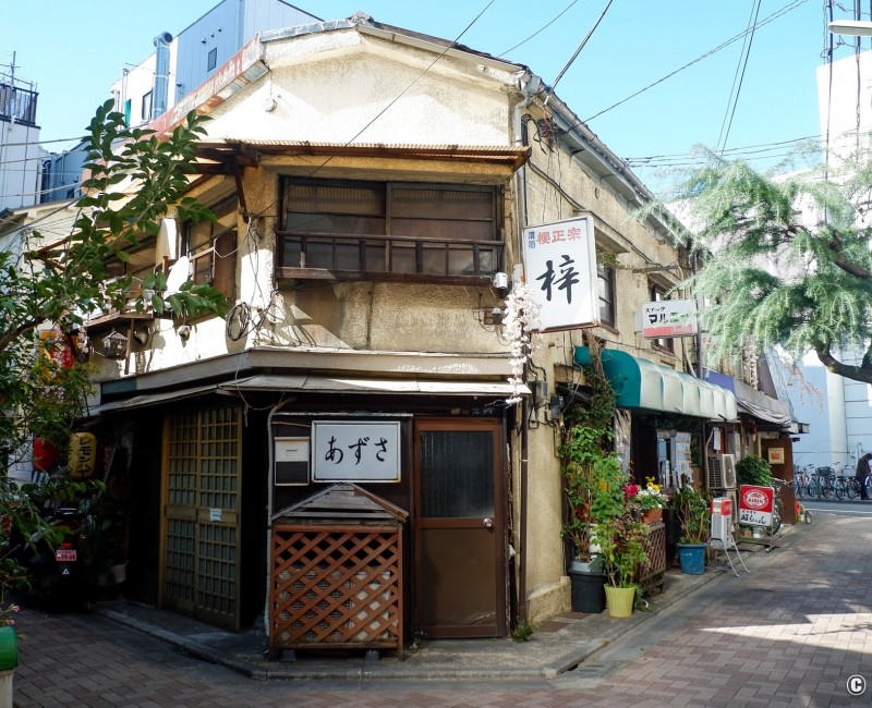 Koto à Tokyo, yokocho du quartier Monzen-Nakacho Koto à Tokyo, yokocho du quartier Monzen-Nakacho