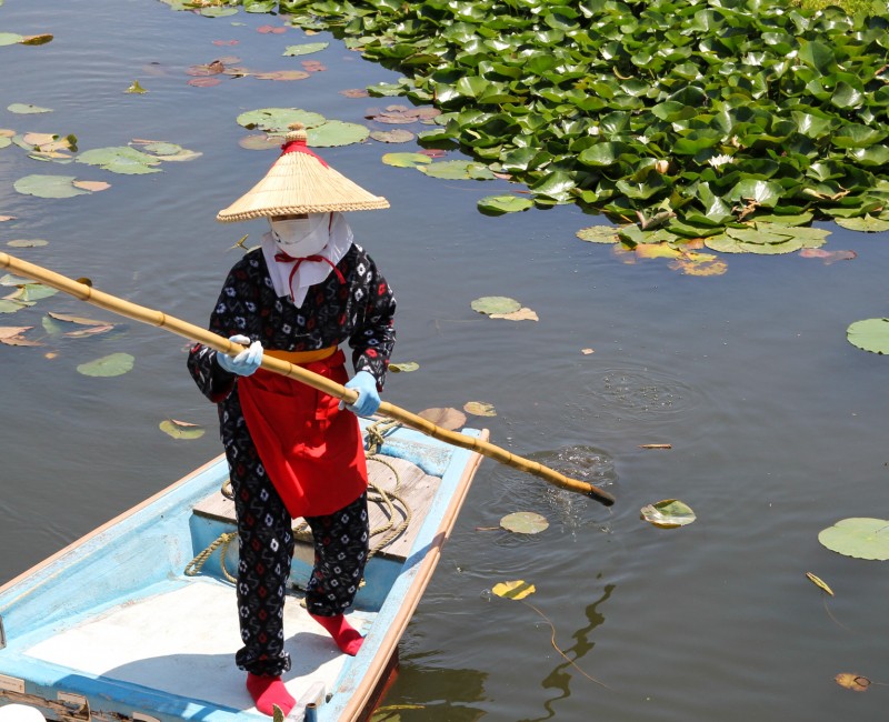 Parc Suigo Sawara Ayame (Chiba), batelier avec masque, gants et en chaussettes