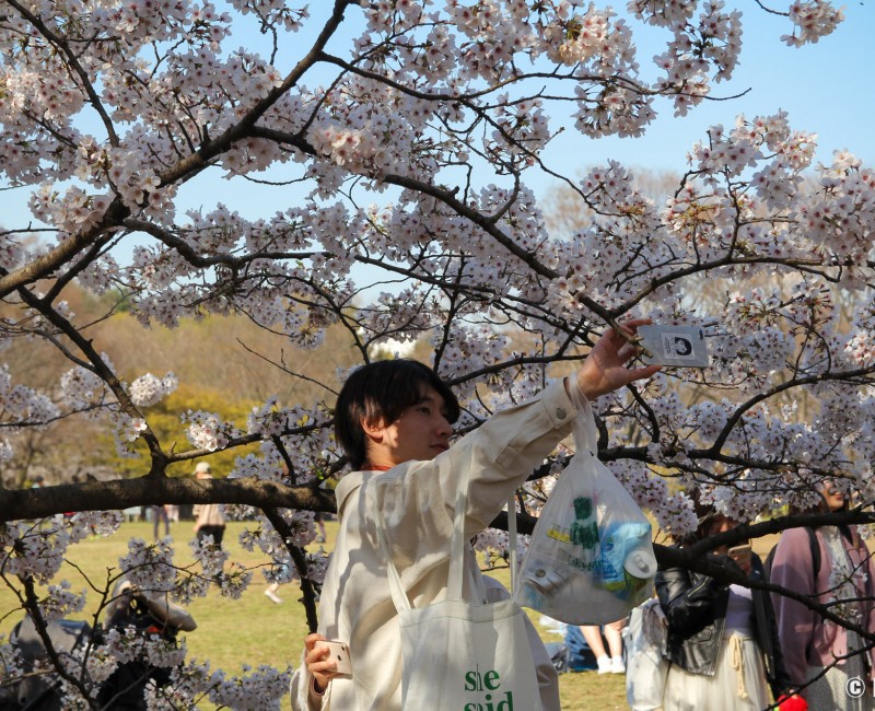 Parc Yoyogi (Tokyo), sac personnel à déchets après pique-nique sous les cerisiers