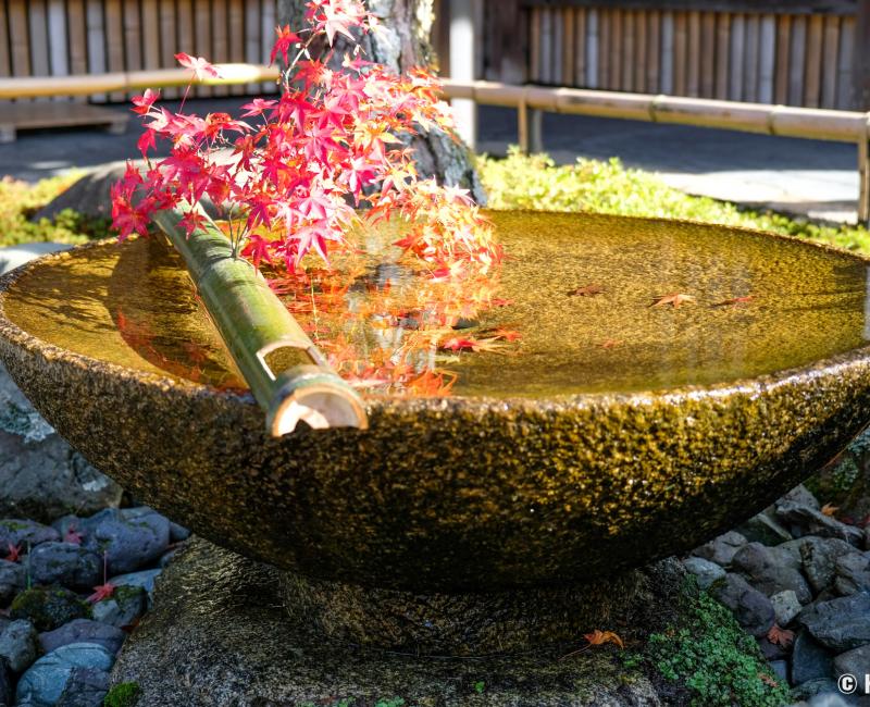 Enko-ji, fontaine suikinkutsu ornée d'une branche d'érable