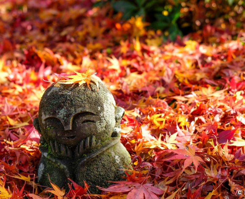 Enko-ji, statue de warabe-Jizo 2