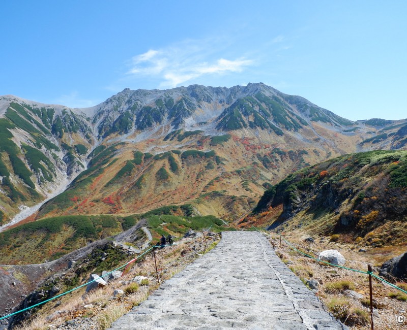 Route Alpine de Tateyama Kurobe, sentier de randonnée sur le plateau de Murodo
