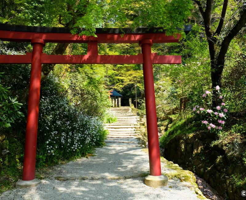 Oka-dera (Asuka), enceinte du temple au printemps à la mi-avril Oka-dera (Asuka), enceinte du temple au printemps à la mi-avril