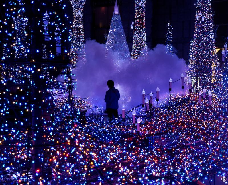Caretta Shiodome (Tokyo), illuminations du centre commercial pour Noel 5