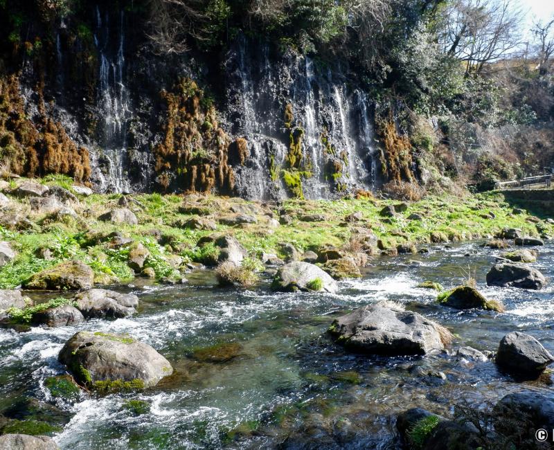 Chutes d'eau de Shiraito, paysage au pied des cascades