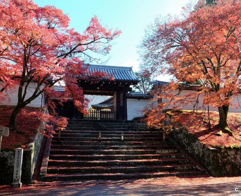 Manshu-in (Kyoto), porte Chokushi-mon en automne