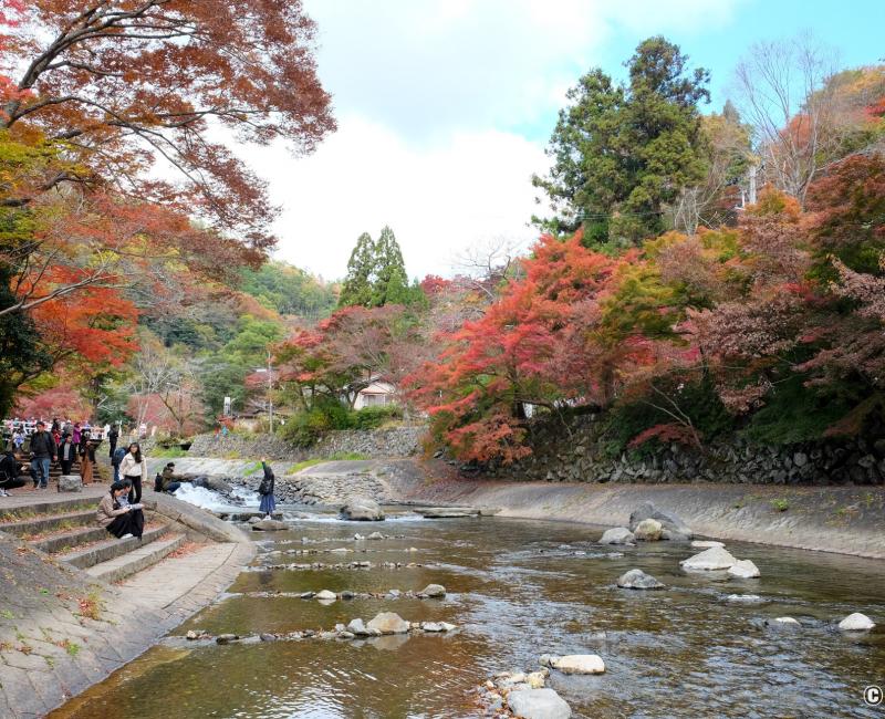 Quartier de Yase, rivière Takano et érables rouges non loin du Ruriko-in 3 Quartier de Yase, rivière Takano et érables rouges non loin du Ruriko-in 3