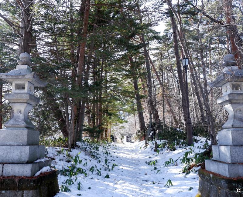 Shirane-jinja (Kusatsu), allée du sanctuaire sous la neige 2
