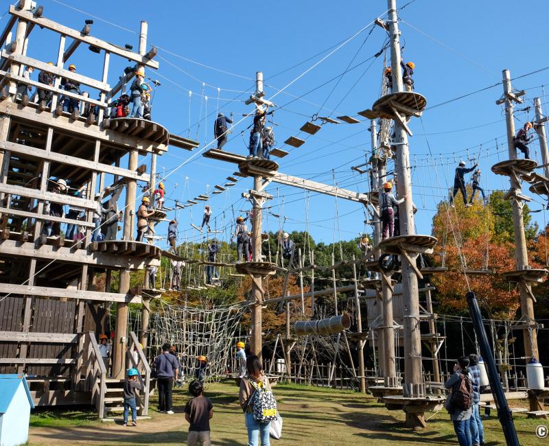 Nijigen no Mori, Crayon Shin-chan Adventure Park, accrobranche
