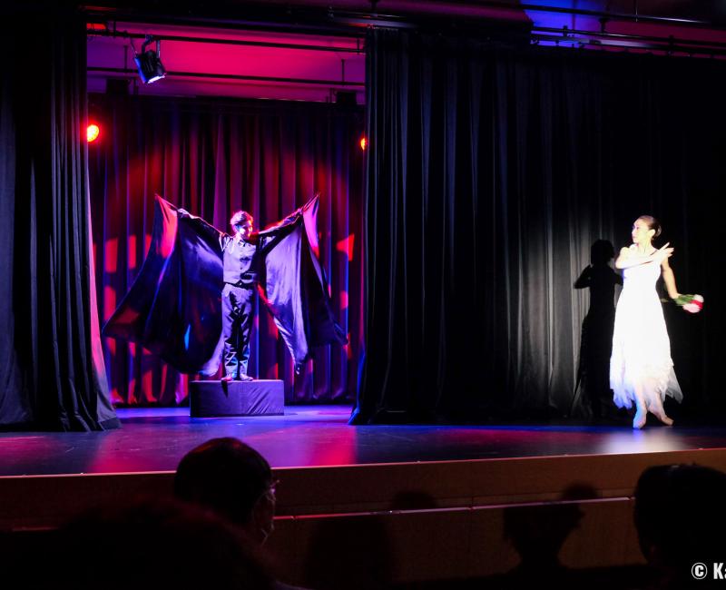 Théâtre Naminoritei (Seikaiha), ballet classique d'après l'œuvre Le Lac des cygnes de Tchaïkovski Théâtre Naminoritei (Seikaiha), ballet classique d'après l'œuvre Le Lac des cygnes de Tchaïkovski