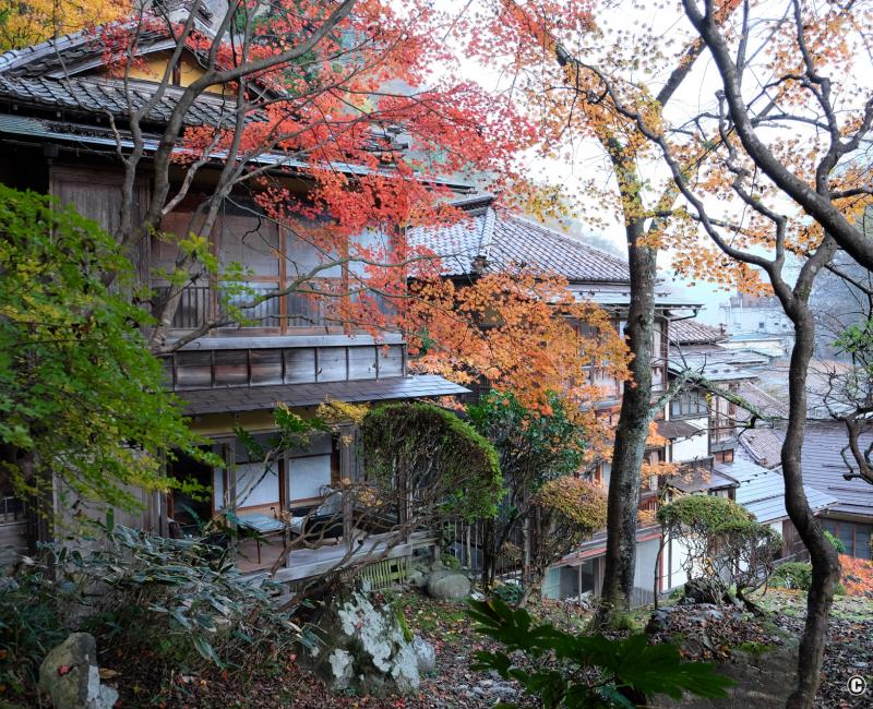Higashiyama Onsen Mukaitaki, vue sur le ryokan traditionnel depuis le jardin en automne Higashiyama Onsen Mukaitaki, vue sur le ryokan traditionnel depuis le jardin en automne